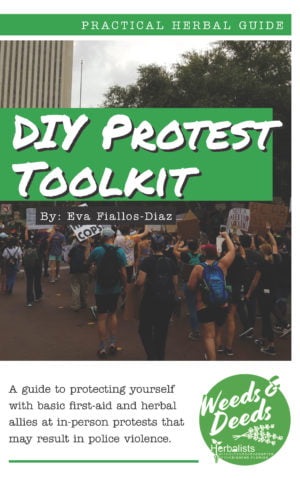 DIY Protest Toolkit